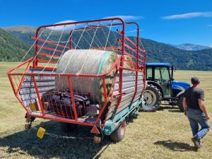 xc_camp_2022 (27).jpg