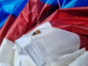 xc_camp_2022 (2).jpg